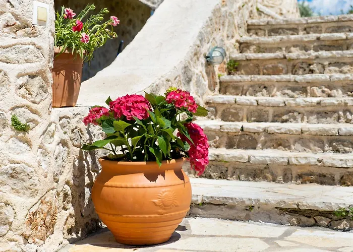 Gkountis Deluxe King 1